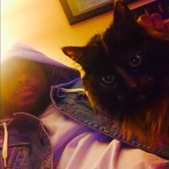 Meet your Posher, Antony - Picture 4 of 4